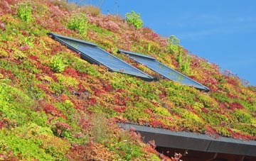 West Mudford living roof systems